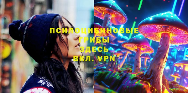 соль ск Алзамай