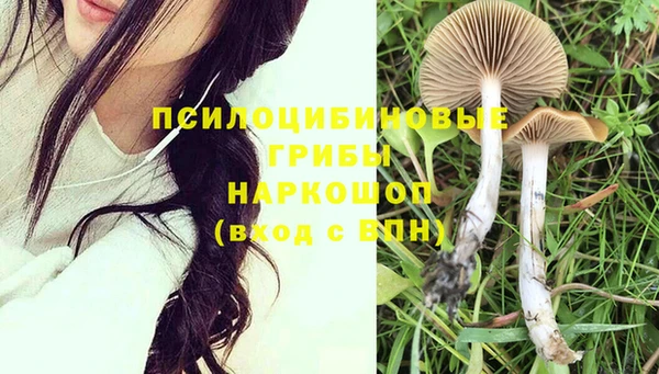 apvp Заводоуковск